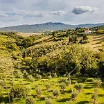 Casa Della Nonna *