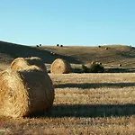 Casa Della Nonna *